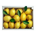 Cytryna - paczka 10kg. 14,40 zl/kg