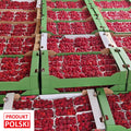 Maliny polskie - paczka 4kg. 49,00 zl/kg