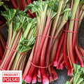 Rabarbar - wiazka 5kg. 13,90 zl/kg