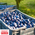 Sliwka wegierka - paczka 20kg. 6,90 zl/kg